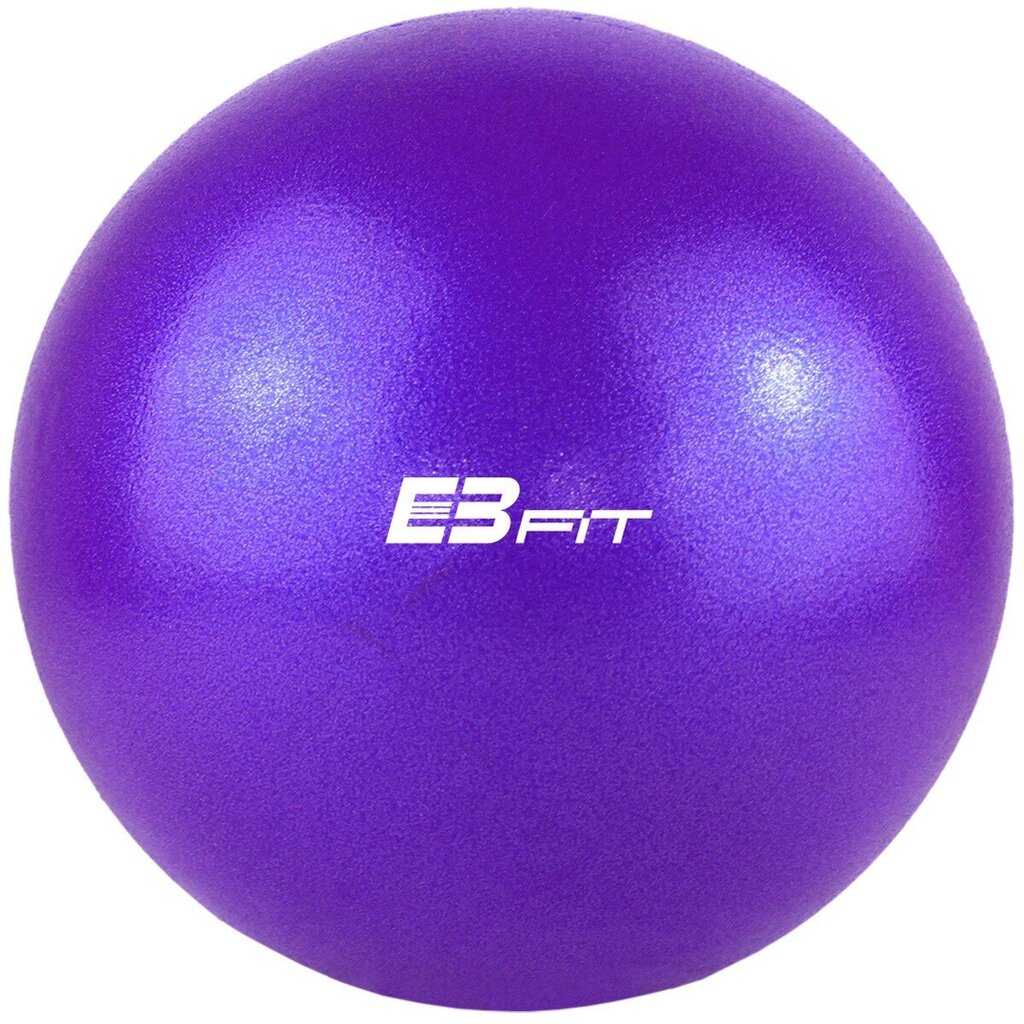 Vingrošanas bumba EB Fit, 25 cm, violets cena un informācija | Vingrošanas bumbas | 220.lv