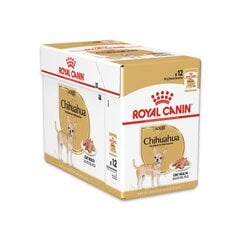 Royal Canin Chihuahua suņiem, 12x85 g cena un informācija | Konservi suņiem | 220.lv