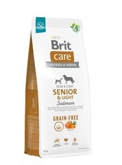 Brit Care visu šķirņu veciem suņiem, bez graudiem ar lasi, 12 kg (jauns iepakojums) cena un informācija | Sausā barība suņiem | 220.lv