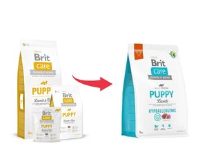 Сухой корм Brit Care Hypoallergenic для молодых щенков с ягненком, 3 кг (новая упаковка) цена и информация | Сухой корм для собак | 220.lv