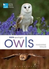 RSPB Spotlight Owls цена и информация | Книги о питании и здоровом образе жизни | 220.lv