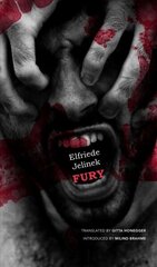 Fury цена и информация | Рассказы, новеллы | 220.lv