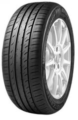 Mastersteel ProSport 205/55R16 91 W cena un informācija | Vasaras riepas | 220.lv