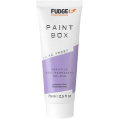 Fudge Paintbox Creative Semi Permanent Colour - Permanent paint 75 ml Lilac Frost cena un informācija | Matu krāsas | 220.lv