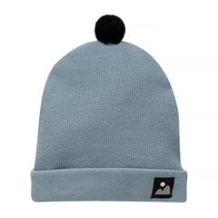шапка зима 2022 синяя цена и информация | Шапки, перчатки, шарфы для мальчиков | 220.lv