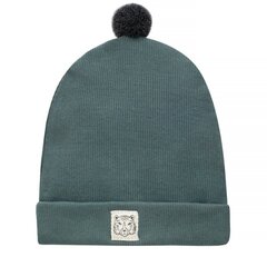 Cepure ziema 2022 zaļā cena un informācija | Cepures, cimdi, šalles zēniem | 220.lv
