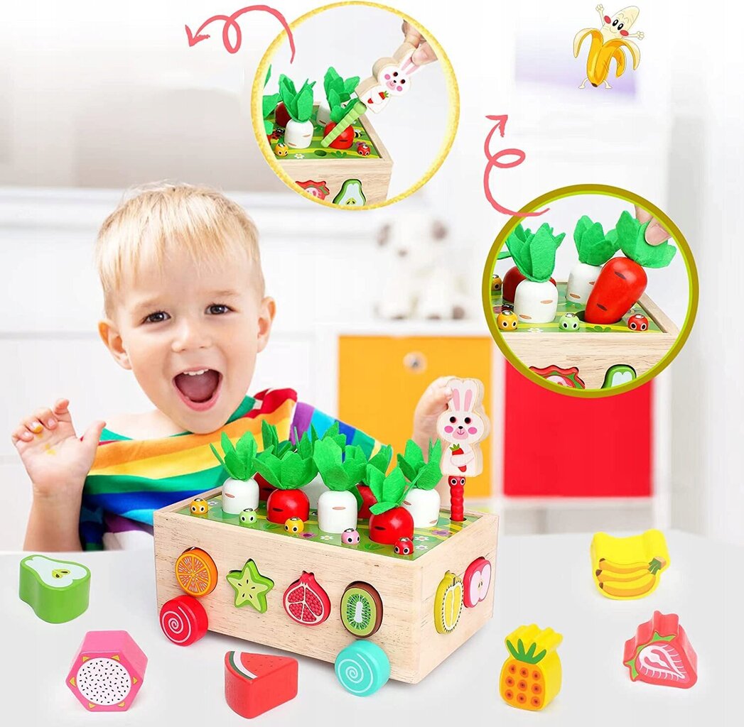 Koka šķirošanas rotaļlieta cena un informācija | Rotaļlietas zīdaiņiem | 220.lv