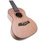 V-TONE UK23 koncerta Ukulele + Soma cena un informācija | Ģitāras | 220.lv