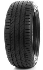 Delinte DS2 215/45R17 91 W XL цена и информация | Летняя резина | 220.lv