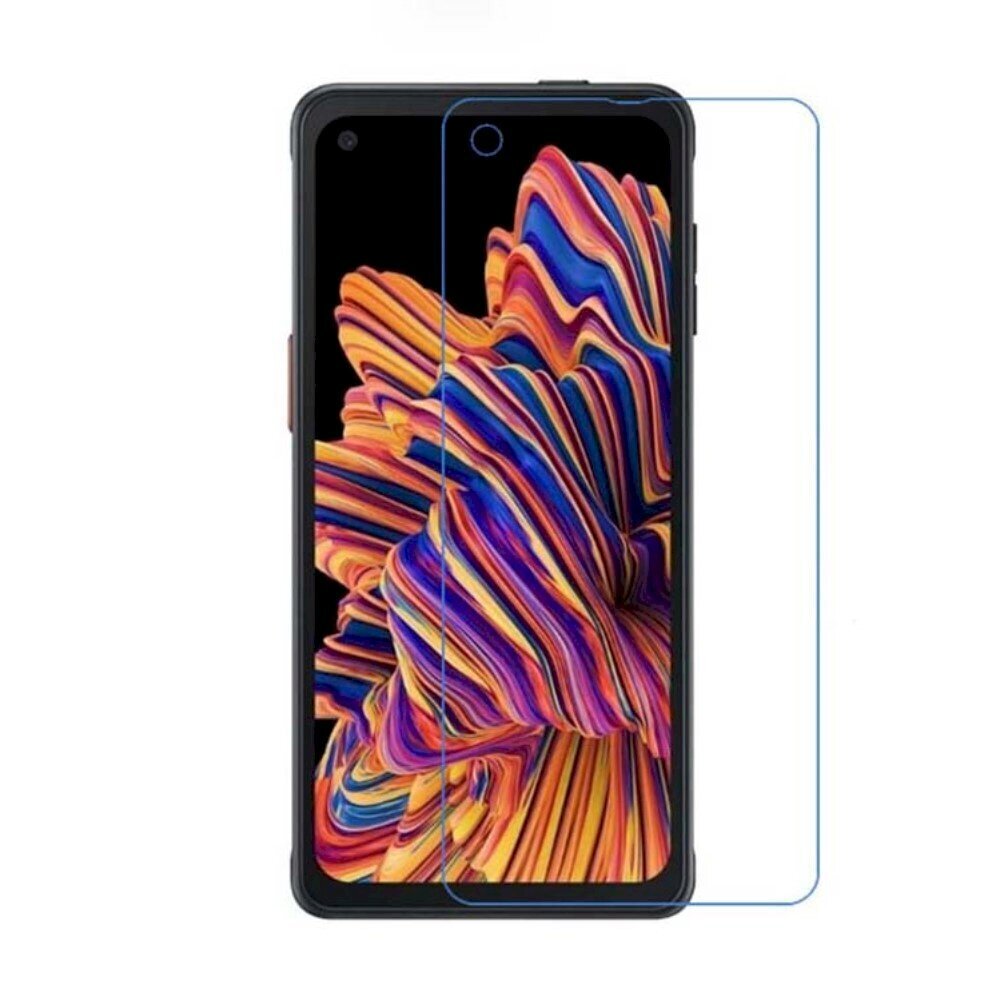 Fusion glass aizsargstikls telefonam Samsung G736 Galaxy Xcover 6 Pro cena un informācija | Ekrāna aizsargstikli | 220.lv