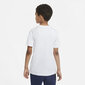 Nike Bērnu T-krekls AR5252*107, balts/sarkans cena un informācija | Zēnu krekli | 220.lv