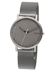 Мужские часы Skagen Signatur цена и информация | Мужские часы | 220.lv