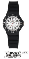 Мужские часы Q&Q VR19J003J цена и информация | Мужские часы | 220.lv