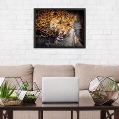 Savvaļas leoparda sienas plakāts Dzīvnieku plakāts Interjera dekors - 78 x 50 cm цена и информация | Декоративные наклейки | 220.lv