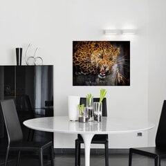 Savvaļas leoparda sienas apdruka Kanvas Dzīvnieku audekla interjera dekors - 78 x 50 cm цена и информация | Декоративные наклейки | 220.lv