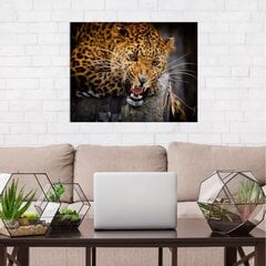 Savvaļas leoparda sienas apdruka Kanvas Dzīvnieku audekla interjera dekors - 78 x 50 cm цена и информация | Декоративные наклейки | 220.lv