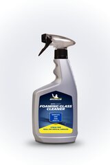 Michelin Пена для очистки стекла, 650 мл цена и информация | Michelin Автохимия и освежители воздуха | 220.lv