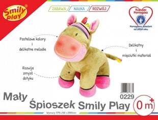 Плюшевая игрушечная лошадка цена и информация | Мягкие игрушки | 220.lv