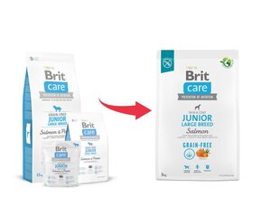 Brit Care Grain-free lielu šķirņu jauniem kucēniem, ar lasi, 3 kg cena un informācija | Sausā barība suņiem | 220.lv