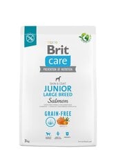 Brit Care Grain-free lielu šķirņu jauniem kucēniem, ar lasi, 3 kg цена и информация | Сухой корм для собак | 220.lv