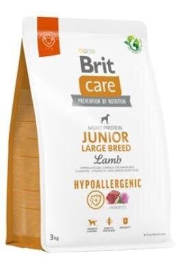 Brit Care Hypoallergenic jauniem lielu šķirņu suņiem, ar jēra gaļu, 3 kg цена и информация | Sausā barība suņiem | 220.lv