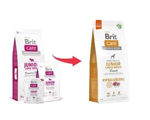 Brit Care для молодых собак крупных пород гипоаллергенный с ягненком, 12 кг (новая упаковка) цена и информация |  Сухой корм для собак | 220.lv
