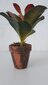 GP TRUST Mākslīgais zieds podā KALANCHOE 24 cm цена и информация | Interjera priekšmeti | 220.lv