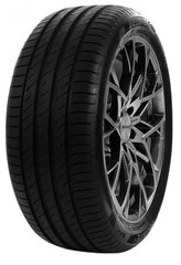 Delinte DS2 SUV 225/55R18 102 W XL cena un informācija | Vasaras riepas | 220.lv