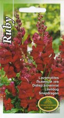 Львиный зев Ruby цена и информация | Семена цветов | 220.lv