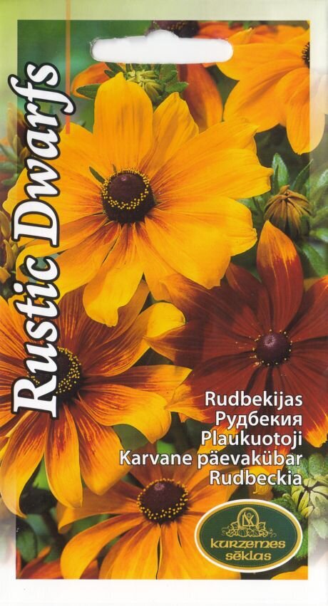 Rudbekijas rustic dwarfs цена и информация | Puķu sēklas | 220.lv