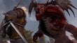 Witcher 3 Complete Edition, PS5 cena un informācija | Datorspēles | 220.lv