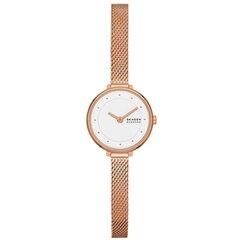 Женские часы Skagen GITTE LILLE (Ø 22 мм) цена и информация | Женские часы | 220.lv