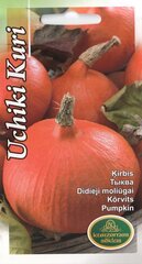 Тыква Хоккайдо Uchiki Kuri цена и информация | Семена овощей, ягод | 220.lv