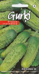 Огурцы мелкоплодные Regina H цена и информация | Семена овощей, ягод | 220.lv
