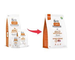 Brit care adult m lamb&rice 3kg suņiem cena un informācija | Sausā barība suņiem | 220.lv