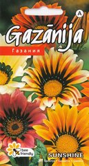 Газания Саншайн цена и информация | Семена цветов | 220.lv