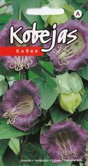 Фиолетовые цветы Кобея цена и информация | Семена цветов | 220.lv