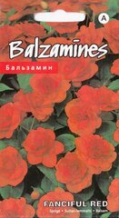 Бальзамин Funciful Red цена и информация | Семена цветов | 220.lv