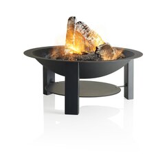 Barbecook uguns vieta Modern (6005), 60 cm cena un informācija | Ugunskura vietas | 220.lv