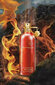Parfimērijas ūdens Montale Wood On Fire EDP vīriešiem/sievietēm, 100 ml цена и информация | Sieviešu smaržas | 220.lv