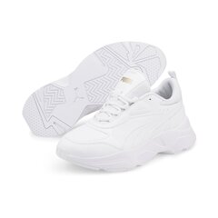 Обувь Puma Cassia Sl White 385279 01 цена и информация | Спортивная обувь, кроссовки для женщин | 220.lv