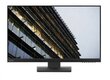 Lenovo ThinkVision E24-28 cena un informācija | Monitori | 220.lv