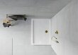 Taisnstūra dušas paliktnis Mexen Flat Slim ar sifonu, White+Gold, 130x70,80,90,100 cm cena un informācija | Dušas paliktņi | 220.lv