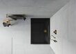 Taisnstūra dušas paliktnis Mexen Flat Slim ar sifonu, Black+Gold, 140x70,80,90,100 cm цена и информация | Dušas paliktņi | 220.lv