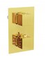 Zemapmetuma dušas komplekts ar termostatu Mexen Cube 6in1, 25x25 cm, Gold cena un informācija | Dušas komplekti un paneļi | 220.lv
