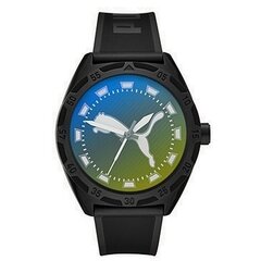 Мужские часы Puma P5093 цена и информация | Мужские часы | 220.lv