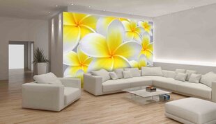 Consalnet Фотообои флизелиновые Flowers 416 x 254 cm 033VEXXXL цена и информация | Фотообои | 220.lv