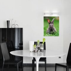 Apdrukāta audekla sienas māksla Cute Trusis Animal Canvas Art Bērnu istabas interjera dekors - 40 x 30 cm cena un informācija | Gleznas | 220.lv