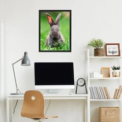Mīlīgs mazais zaķītis sienas mākslas plakāts dzīvnieku plakāts bērnu istabas interjera dekors - 40 x 30 cm cena un informācija | Dekoratīvās uzlīmes | 220.lv
