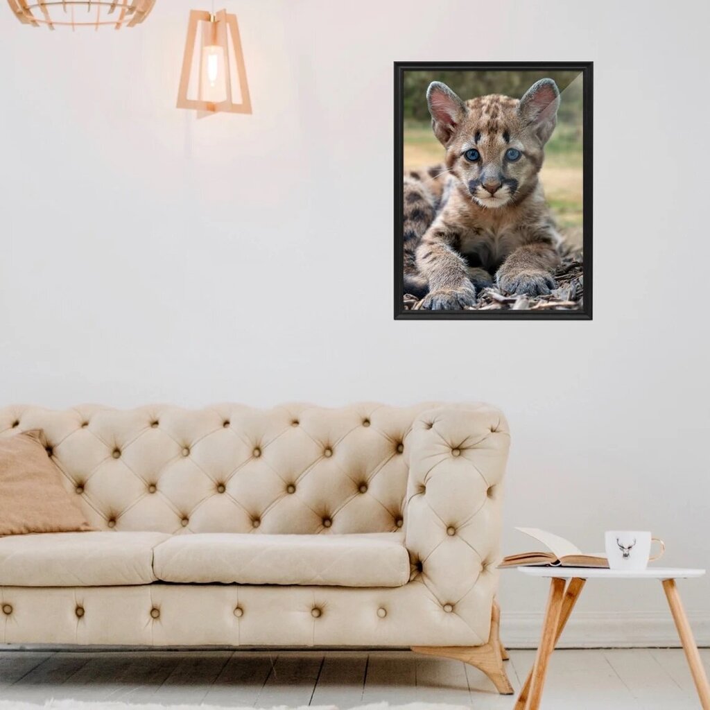 Sienas plakāts Little Leopard, Dzīvnieku plakāts, Bērnu istabas dekors - 40 x 30 cm cena un informācija | Dekoratīvās uzlīmes | 220.lv